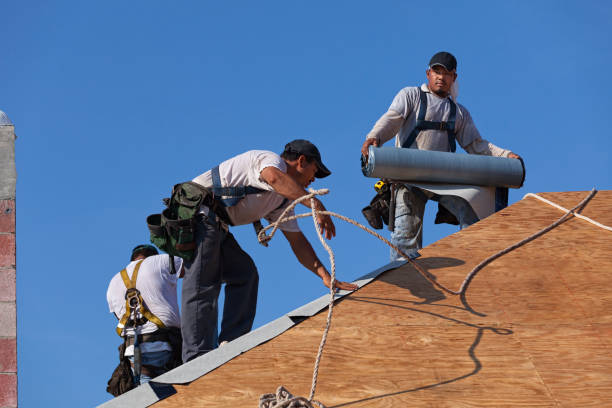 Best Metal Roofing Contractor  in Westfield Center, OH